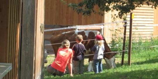 Waldkindergarten - Erzieherin und Kinder bei Kuh