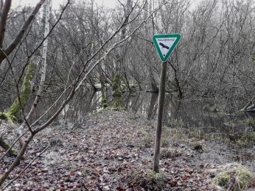 Dreieckiges, grünumrandetes Hinweisschild "Naturdenkmal" an Pfosten auf belaubter Waldfläche stehend vor einer Wasserfläche