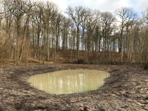 Ausgebaggertes Becken im Kreischwald, bereits vollgelaufen mit trübem, braunnen Wasser
