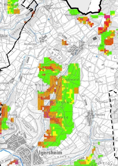 Landkarte für den Raum Igersheim mit unterschiedlich colorierten Flächen..Diese machen jeweils eine Aussage über die Anbauwürdigkeit einer Baumart.