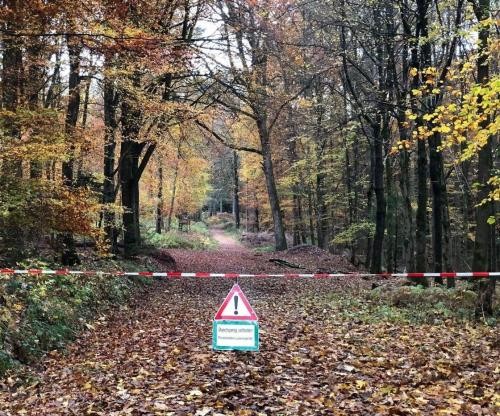 Auf einem Waldweg steht ein Warnschild - Holzernte,Durchgang verboten- .Rot-weises Trassierband ist quer über den Weg angebracht.