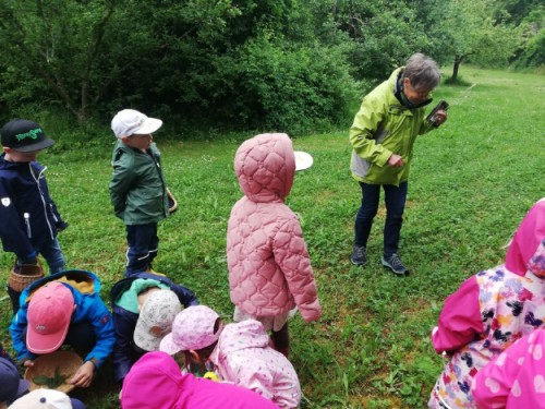 Gruppe bei der Kräuterwanderung