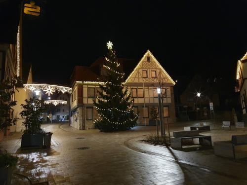 Rathaus mit Weihnachtsbaum und Beleuchtung