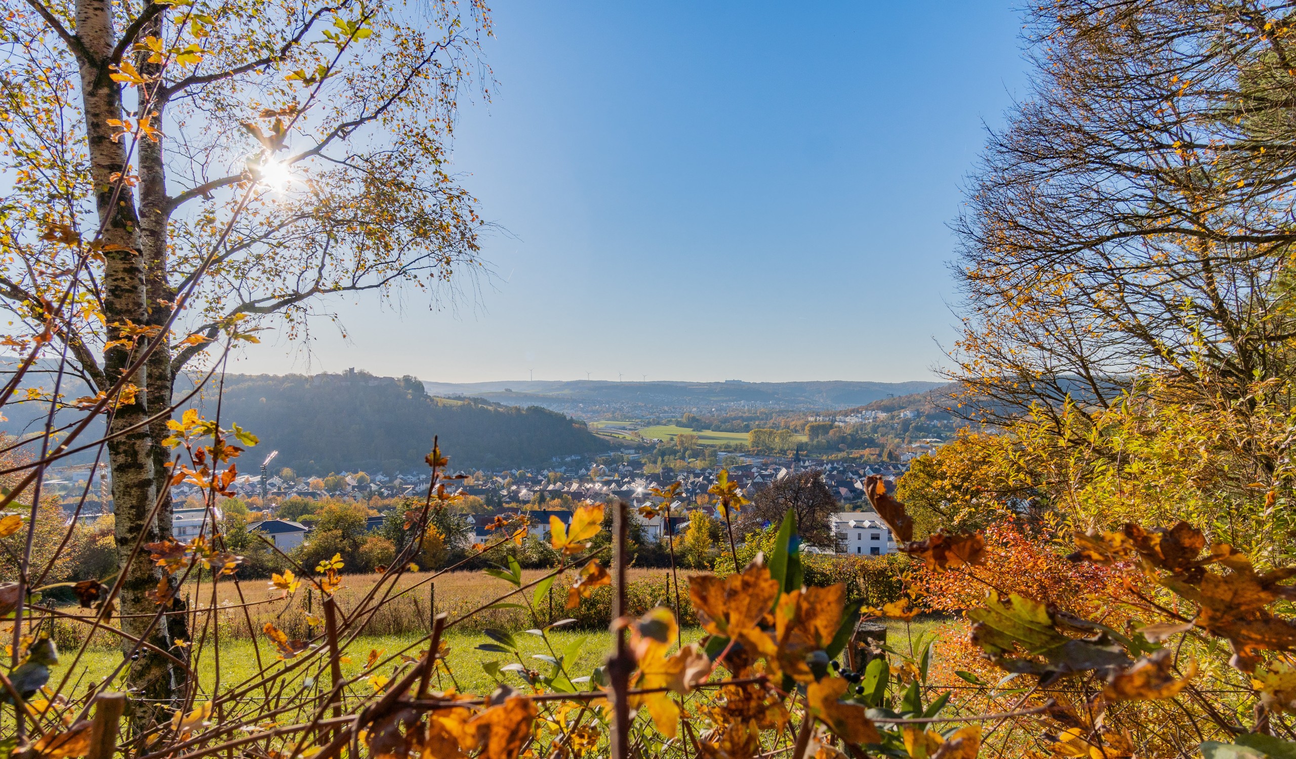 Ortsansicht Igersheim - Herbst