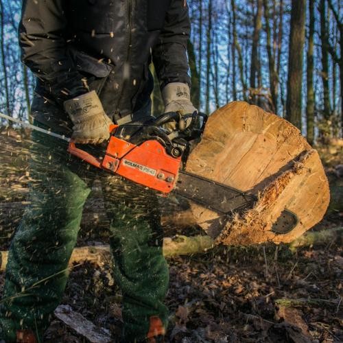Person mit Motorsäge sägt an einem Baumstamm