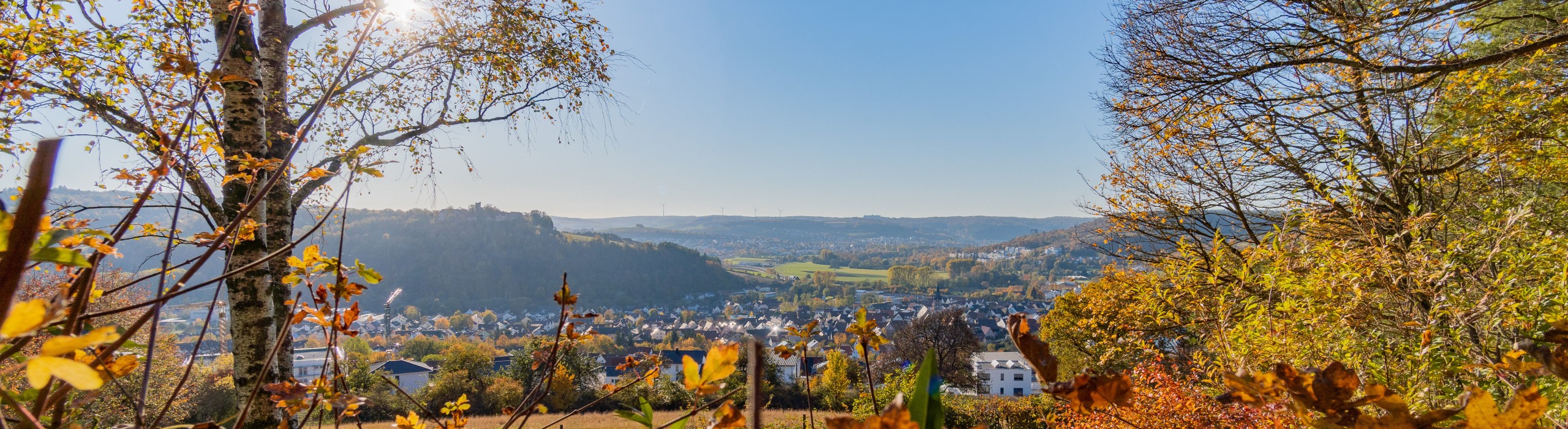 Landschaftsaufnahme Igersheim im Hintergrund, Bäume und Hecken im Vordergrund