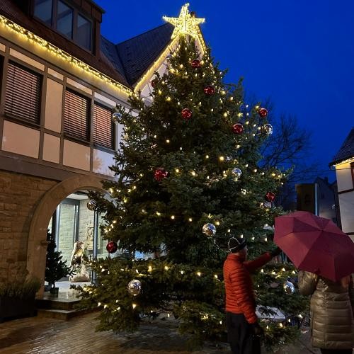 Weihnachtsbaum vor Rathaus