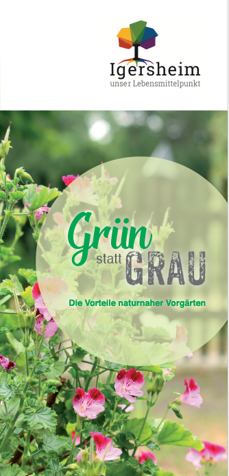 Titelseite des Flyers "Grün statt Grau"
